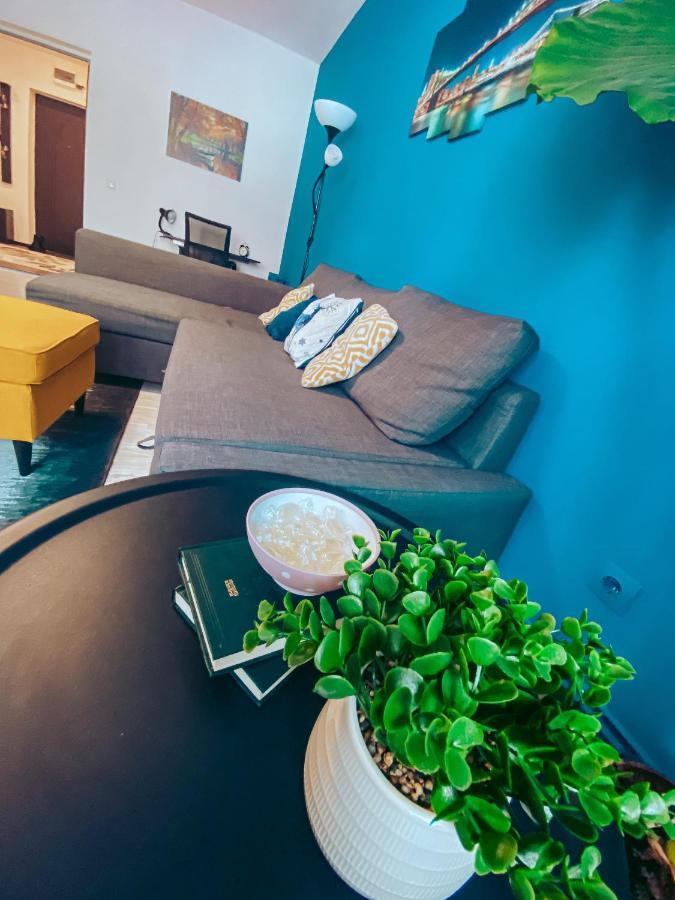 Apartment One Брашов Экстерьер фото